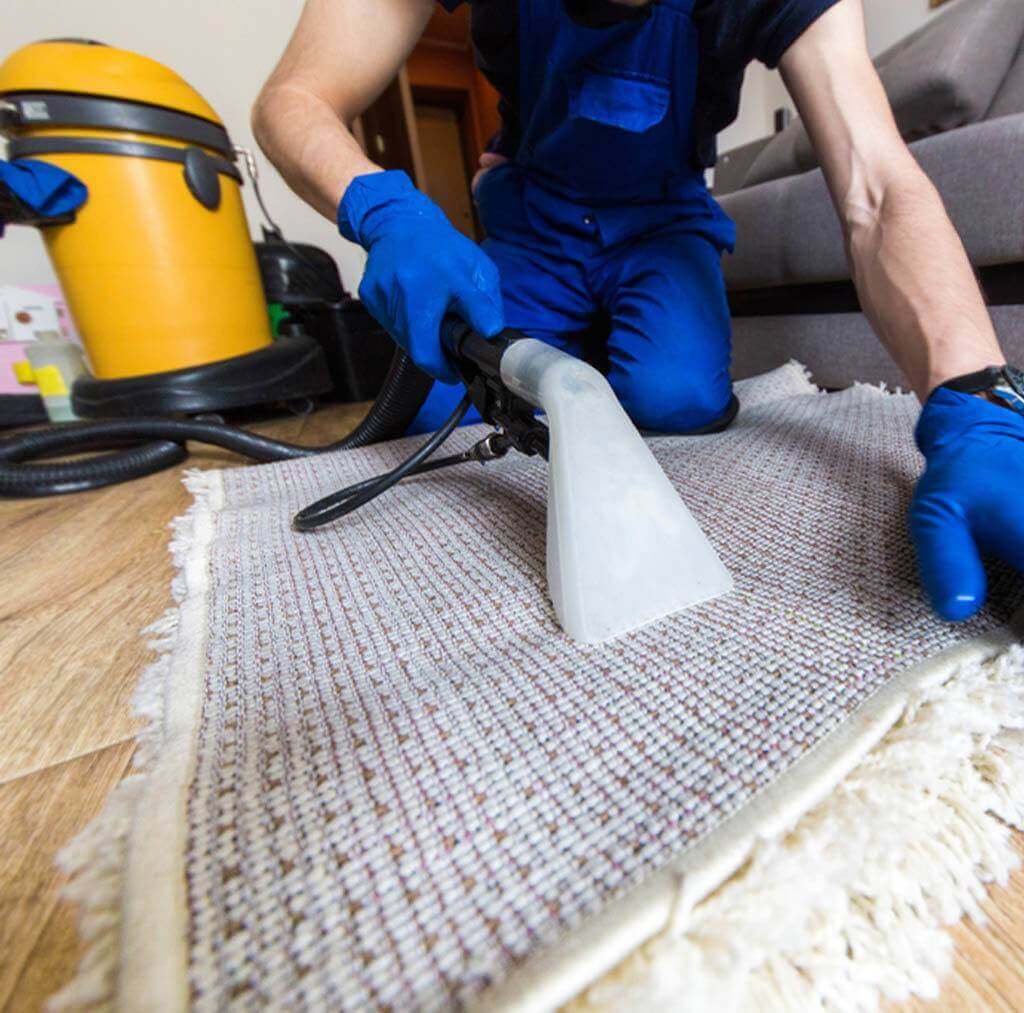 Wadsworth Area Rug Cleaning Services