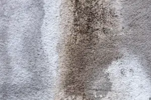 Common Carpet Stains & Easy Removal Tips